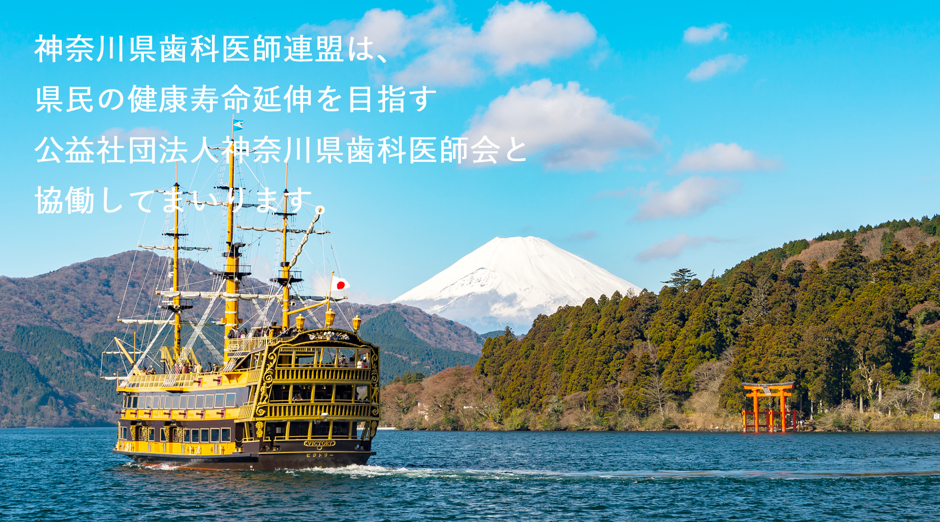 神奈川県歯科医師連盟