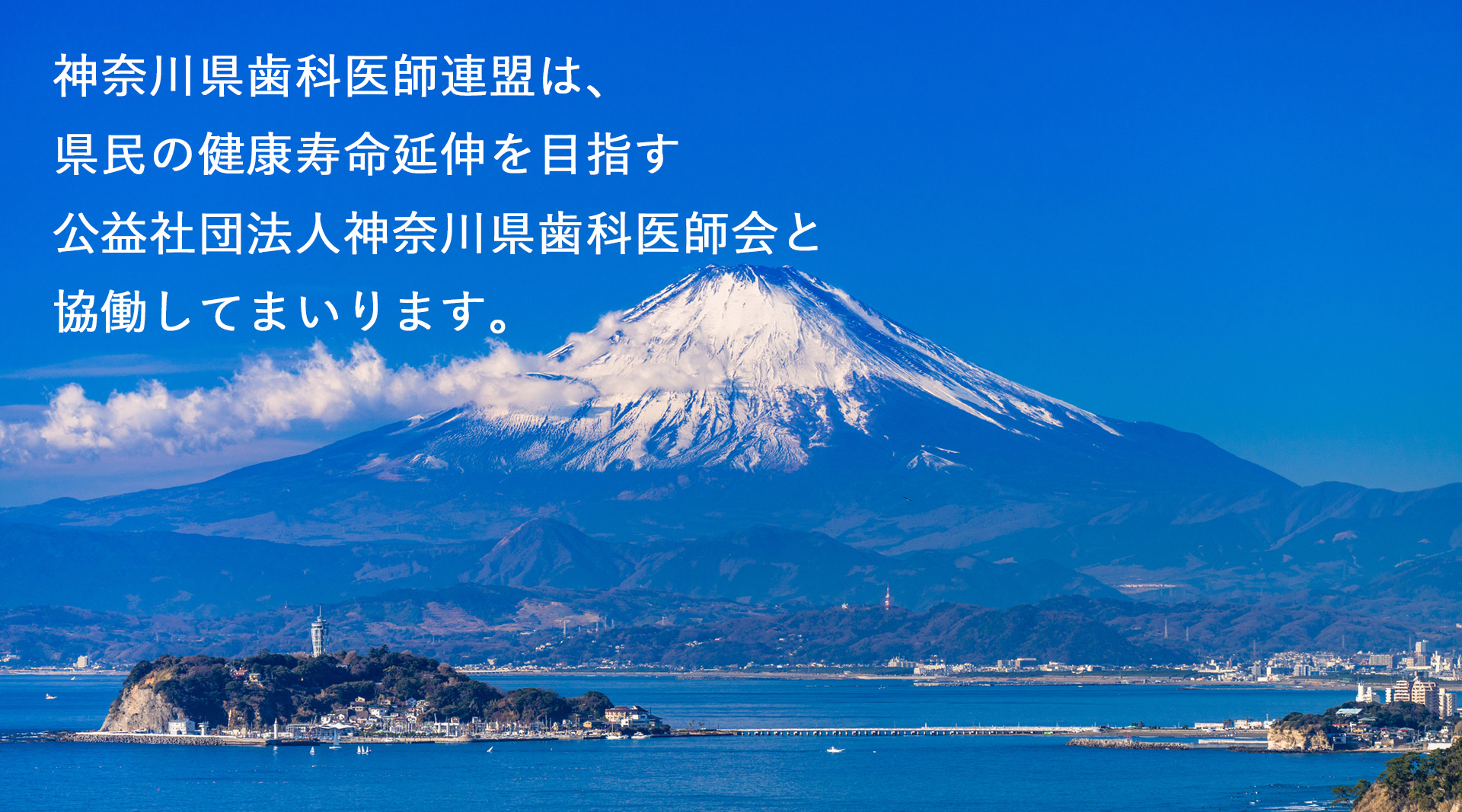 神奈川県歯科医師連盟
